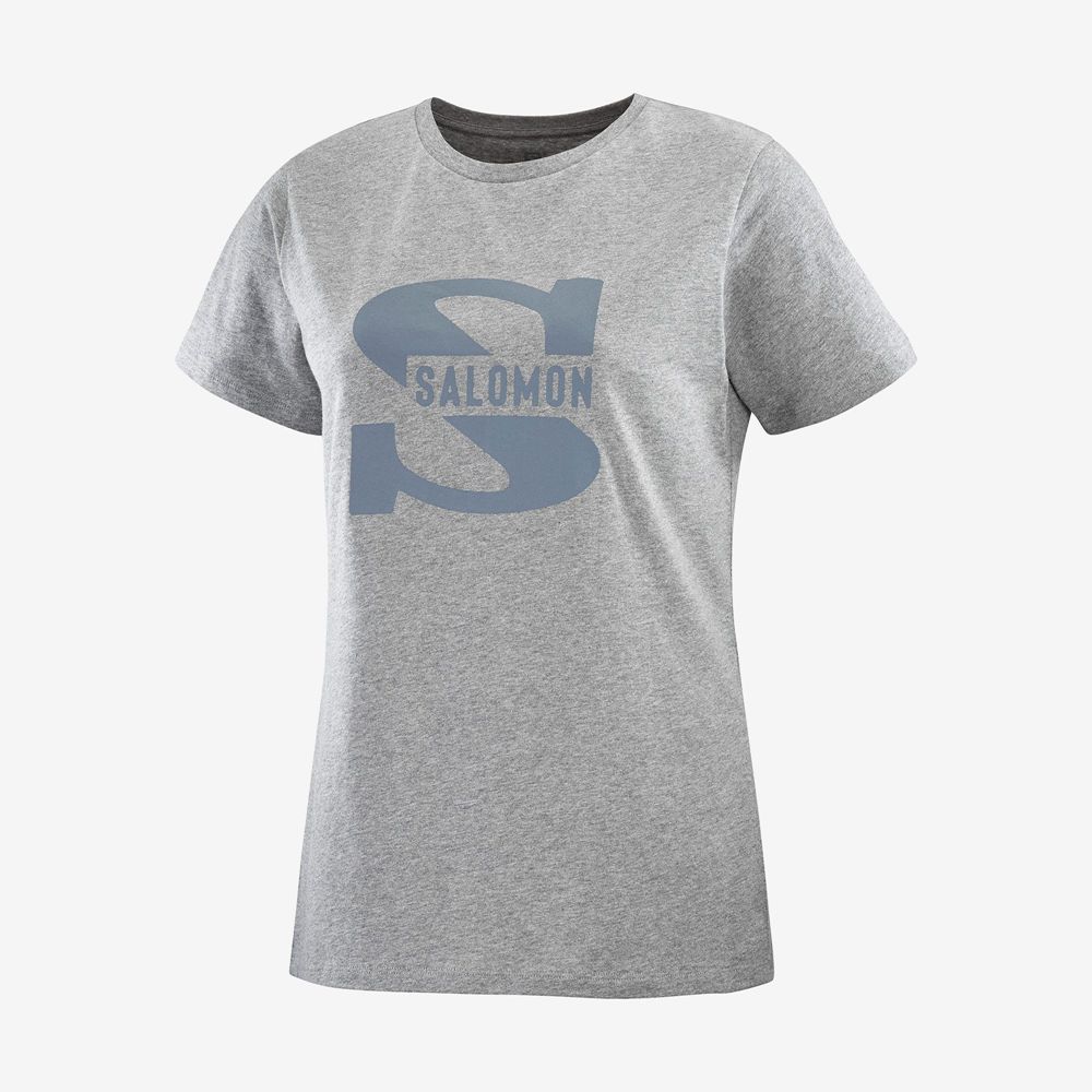 T-Shirty Damskie Salomon OUTLIFE BIG LOGO - Szare - Polska (954-ECGASX)